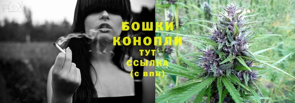 прущие грибы Балабаново